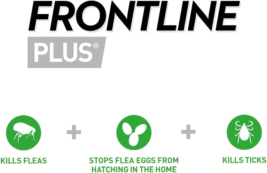 FRONTLINE Plus Flea & Tick Treatment for Cats and Ferrets - 3 Pipettes