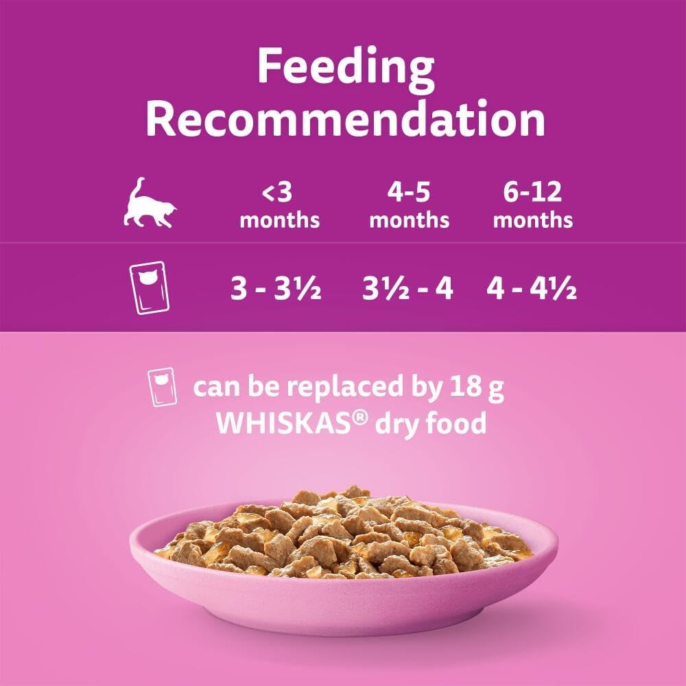 Whiskas Junior Poultry Selection in Jelly 84 Pouches, Wet Kitten & Cat Food, Selection of Chicken, Duck, Poultry & Turkey, Megapack (84 x 85 g)