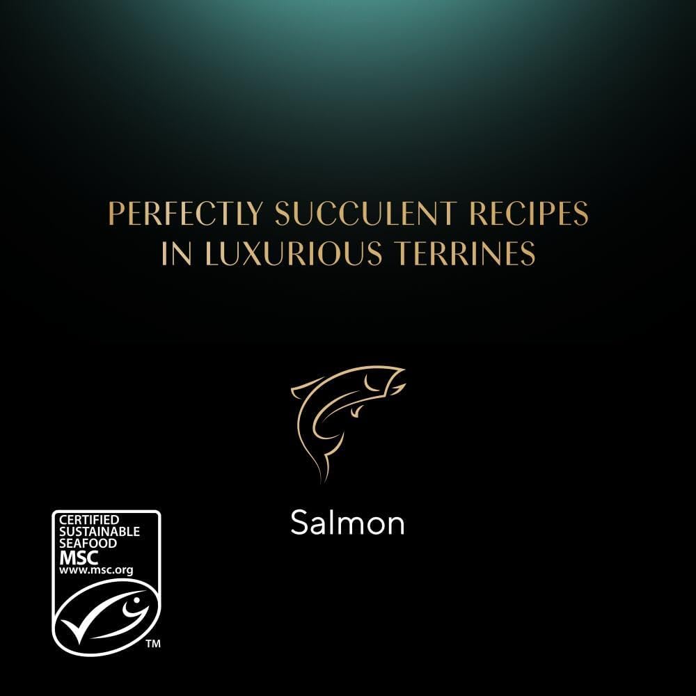 Sheba Classics Cat Food Tray with Salmon in Terrine 2x11x85g