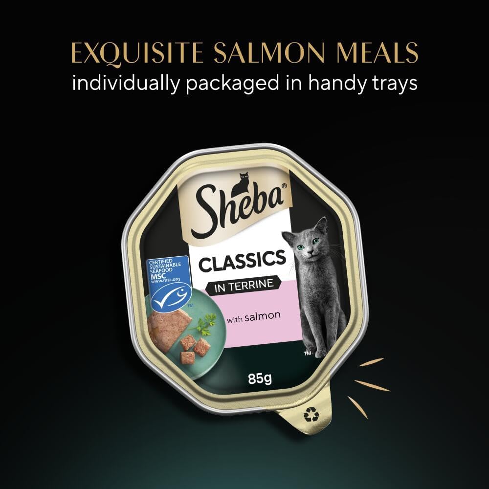Sheba Classics Cat Food Tray with Salmon in Terrine 2x11x85g