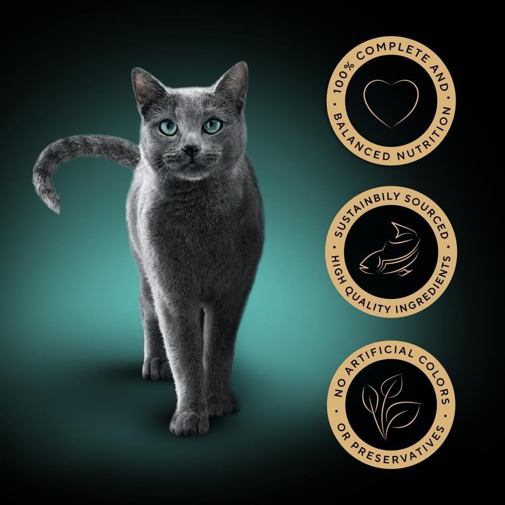 Sheba Classics Cat Food Tray with Salmon in Terrine 2x11x85g