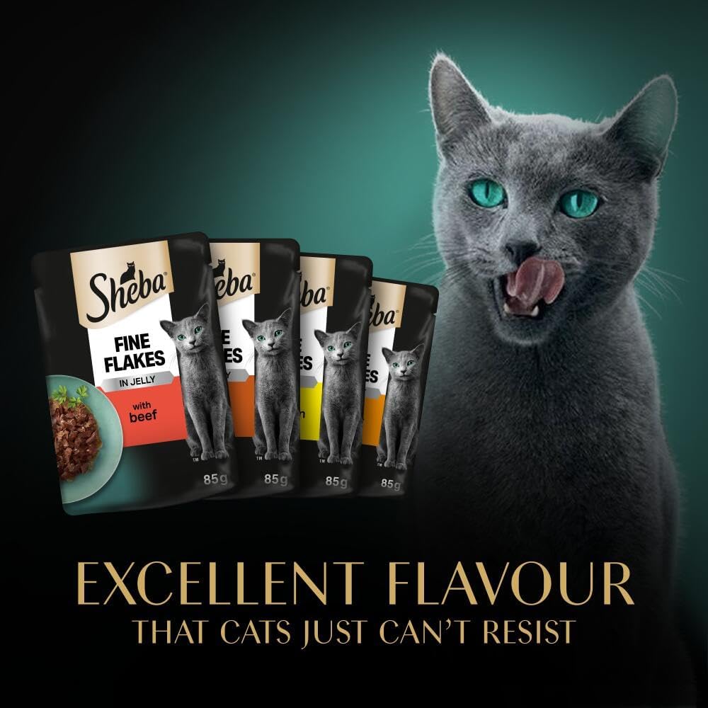 Sheba Fine Flakes Wet Cat Food Pouches - MultiPack Succulent Collection with Beef, Chicken, Lamb and Turkey in Jelly, Pack of 4 (4 x 12 Pouches x 85 g)