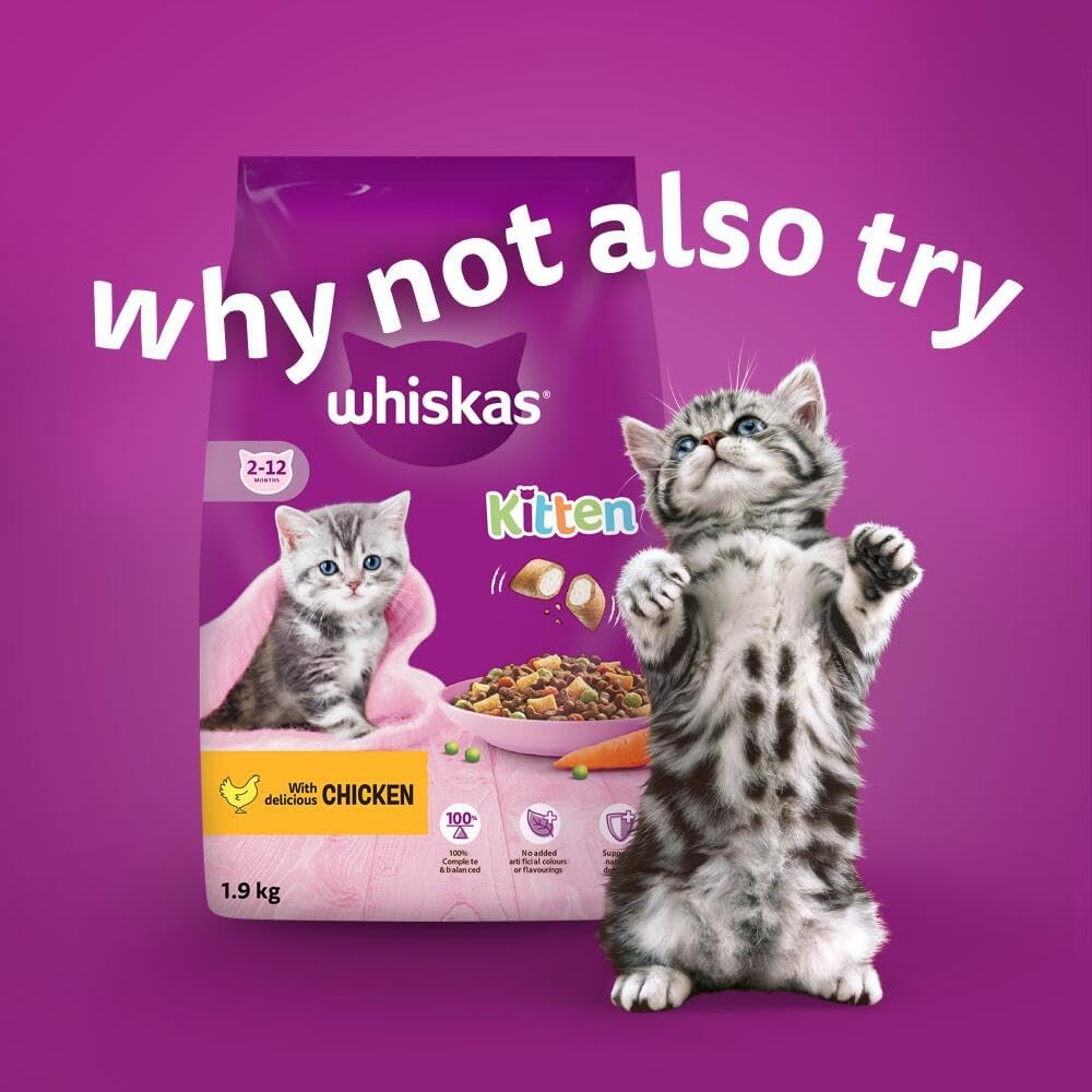 Whiskas Junior Poultry Selection in Jelly 84 Pouches, Wet Kitten & Cat Food, Selection of Chicken, Duck, Poultry & Turkey, Megapack (84 x 85 g)