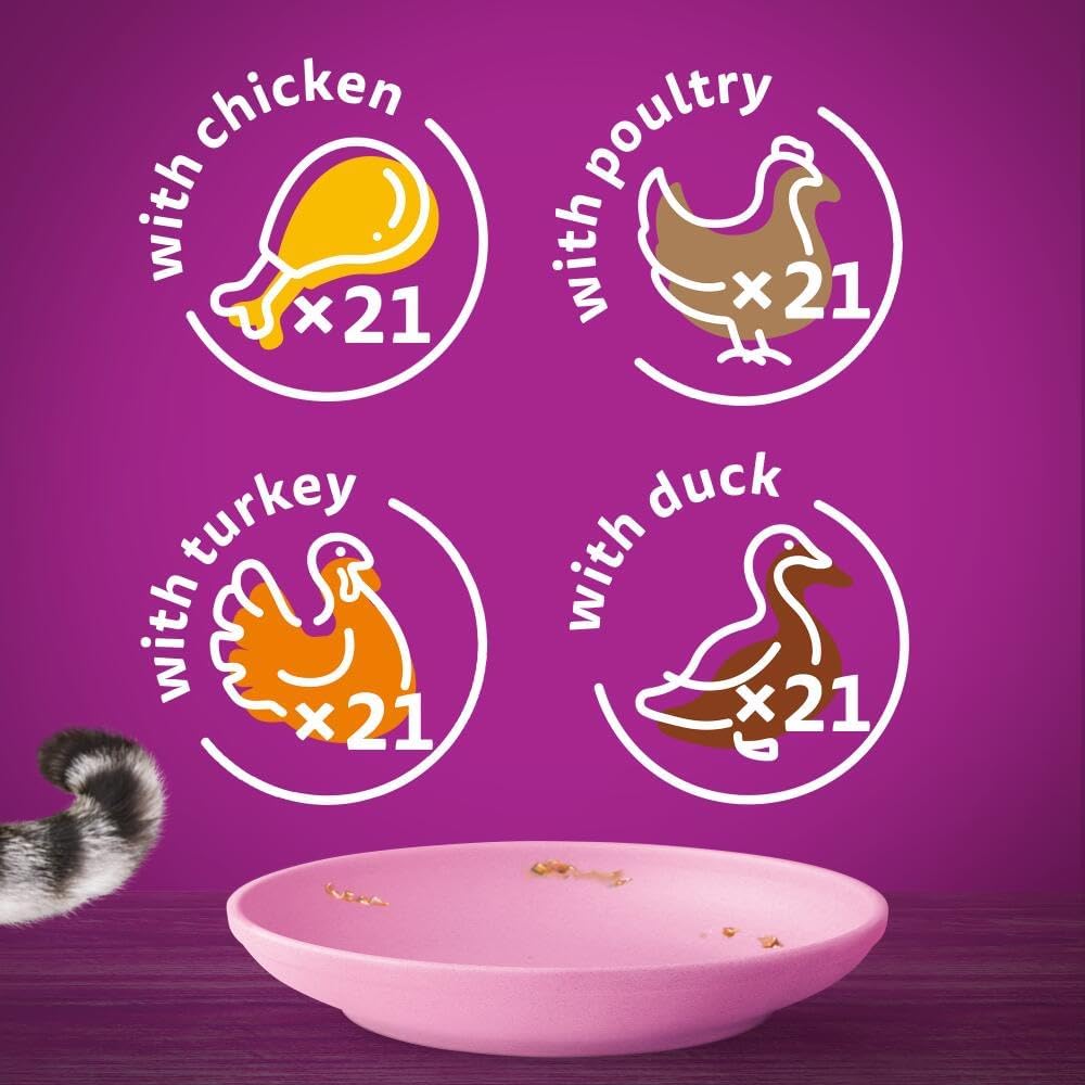 Whiskas Junior Poultry Selection in Jelly 84 Pouches, Wet Kitten & Cat Food, Selection of Chicken, Duck, Poultry & Turkey, Megapack (84 x 85 g)