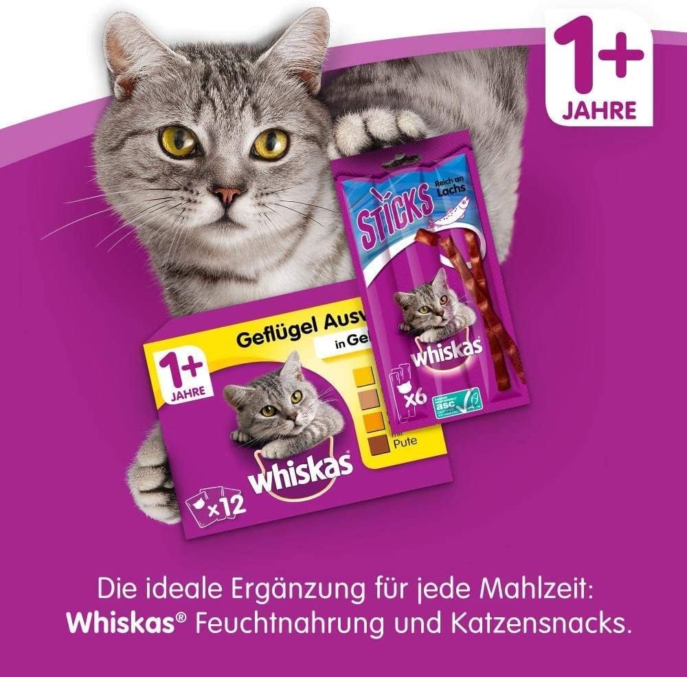 Whiskas Dry Adult 1 + with Chicken 1.9 Kg