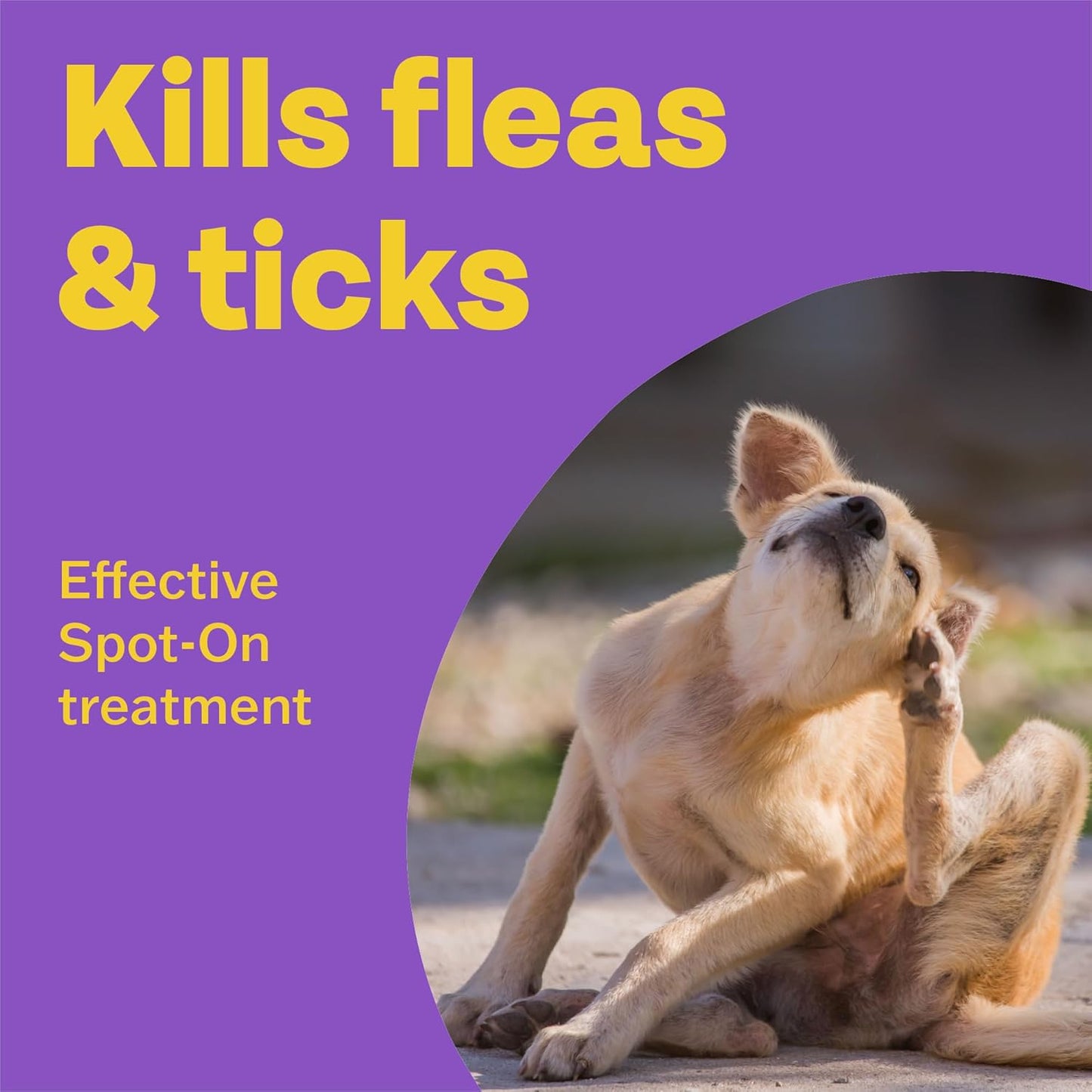 Bob Martin Clear Spot On Flea Treatment for Medium Dogs (10-20kg) - Kills Fleas & Ticks (3 Pipettes)