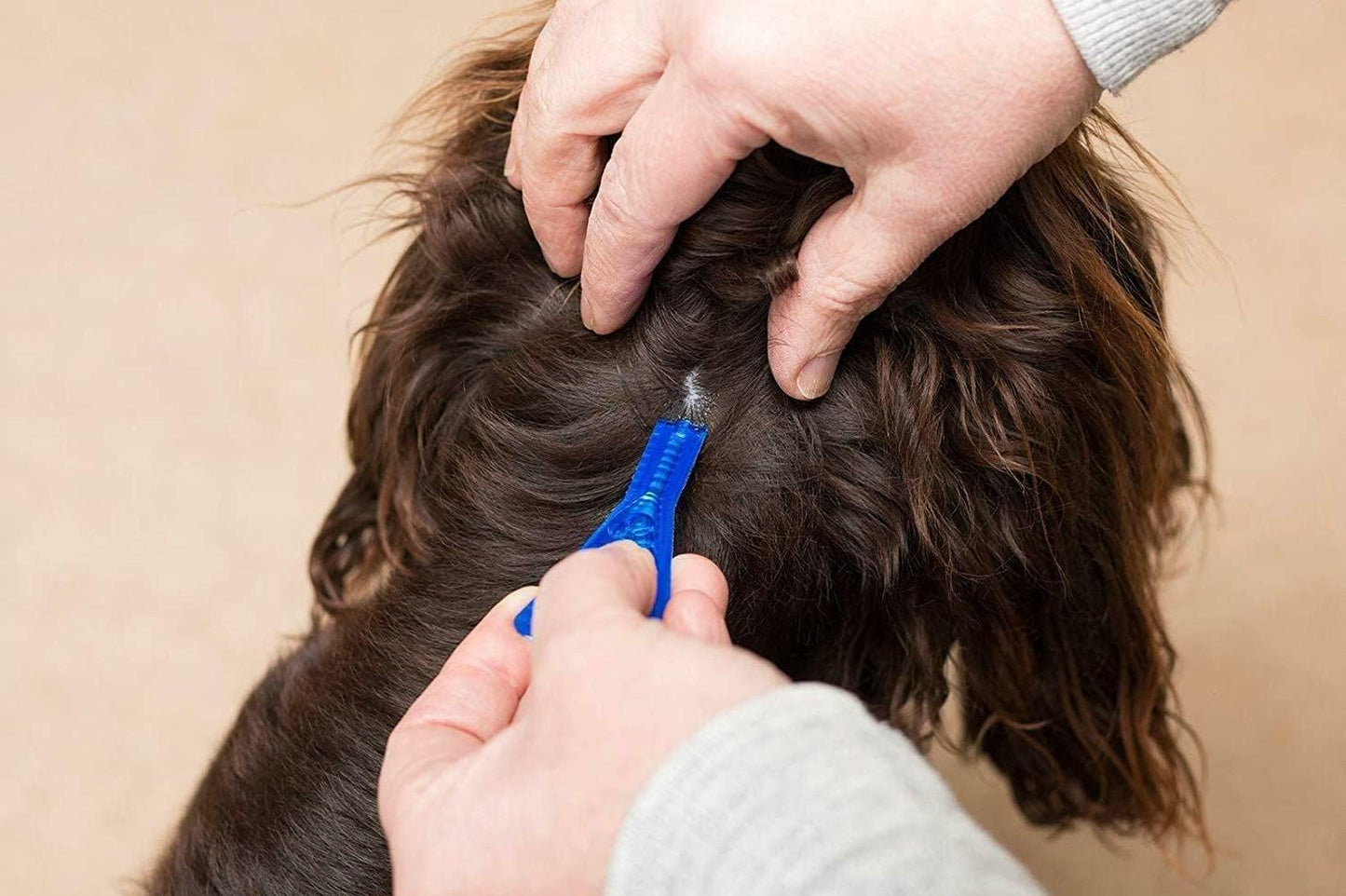 Frontline For Dogs (Spot On For Medium Dog)