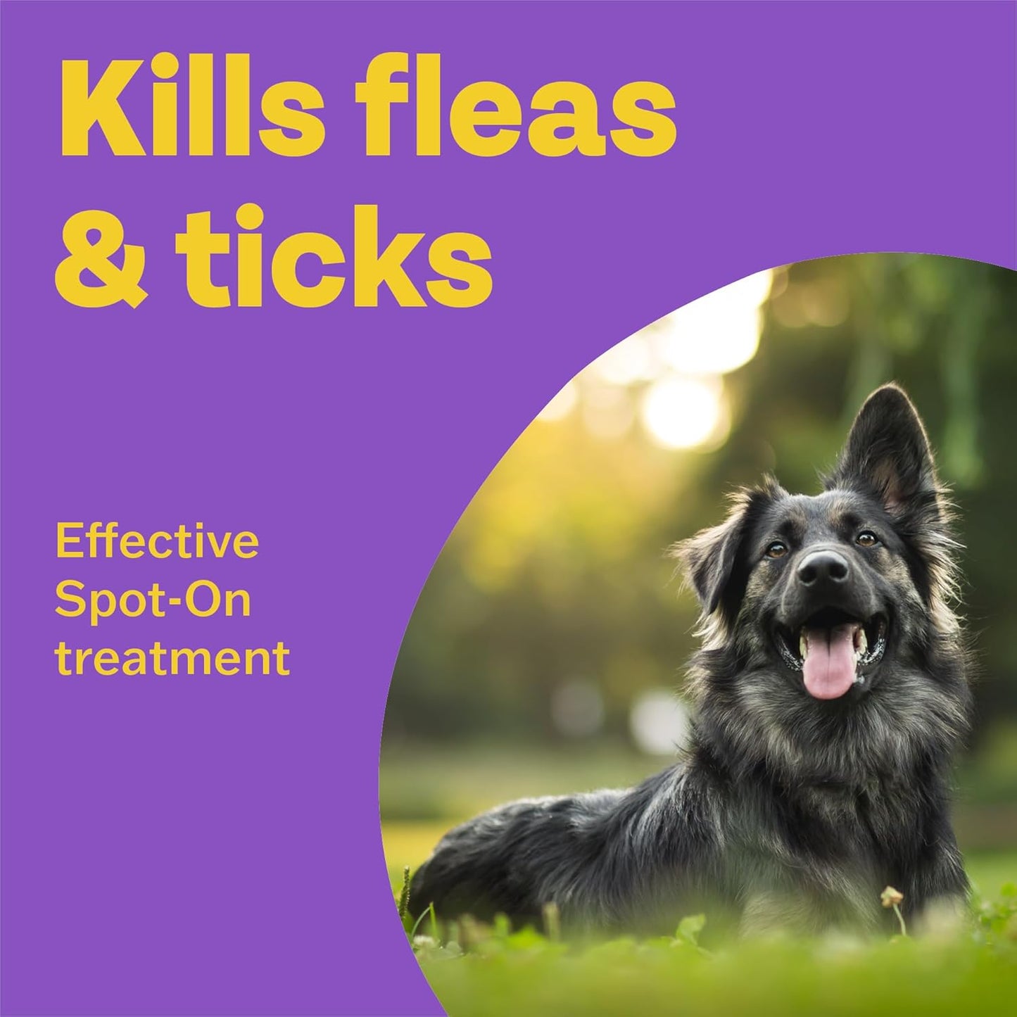 Bob Martin Clear Spot On Flea Treatment for Large Dogs (20-40kg) - Kills Fleas & Ticks (3 Pipettes)