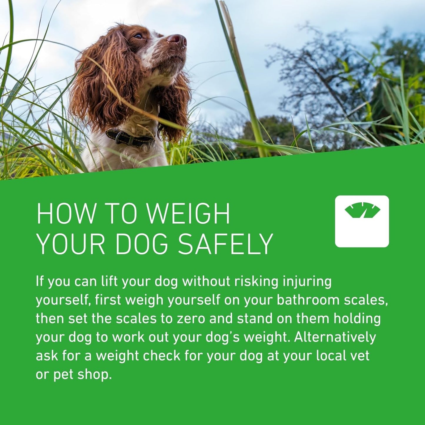 FRONTLINE Plus Flea & Tick Treatment for Extra Large Dogs (over 40 kg) - 3 Pipettes