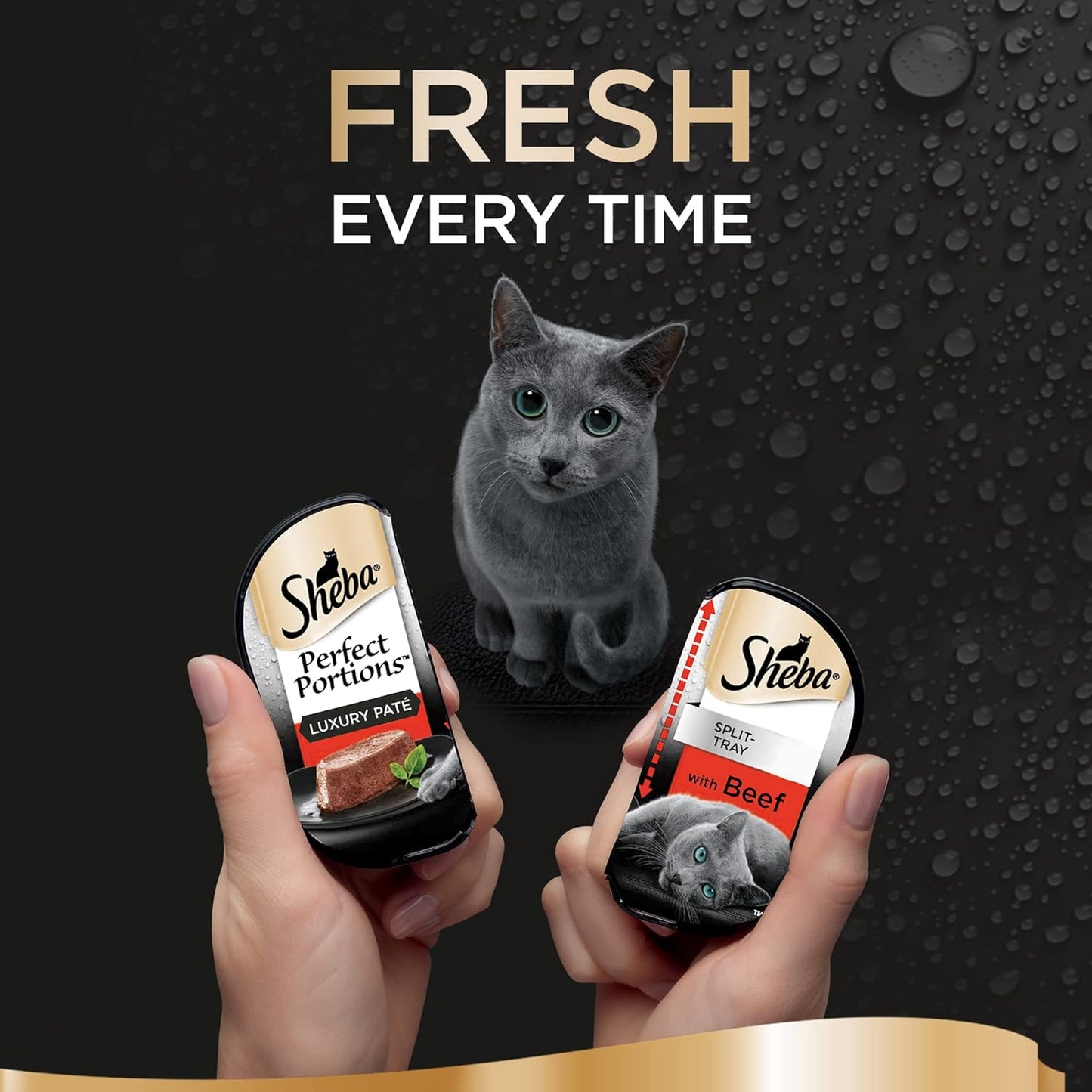Sheba Perfect Portions Beef in Loaf - Adult Wet Cat Food Trays, Pack of 8 (8 x 6 Trays x 37.5 g)