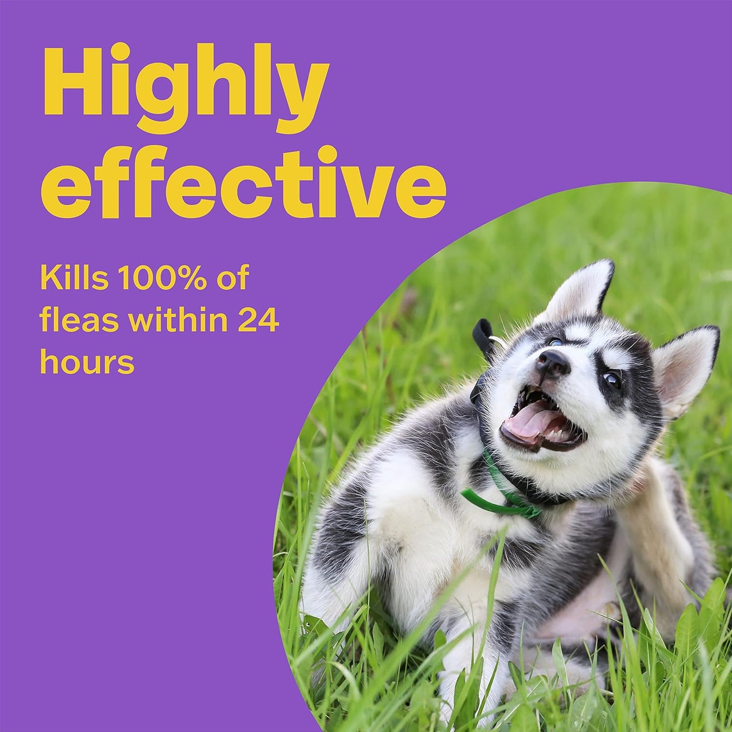 Bob Martin Clear Flea Treatment for Large Dogs (3 Tablets) - Kills 100 Percent of Fleas within 24 Hours (over 11kg)