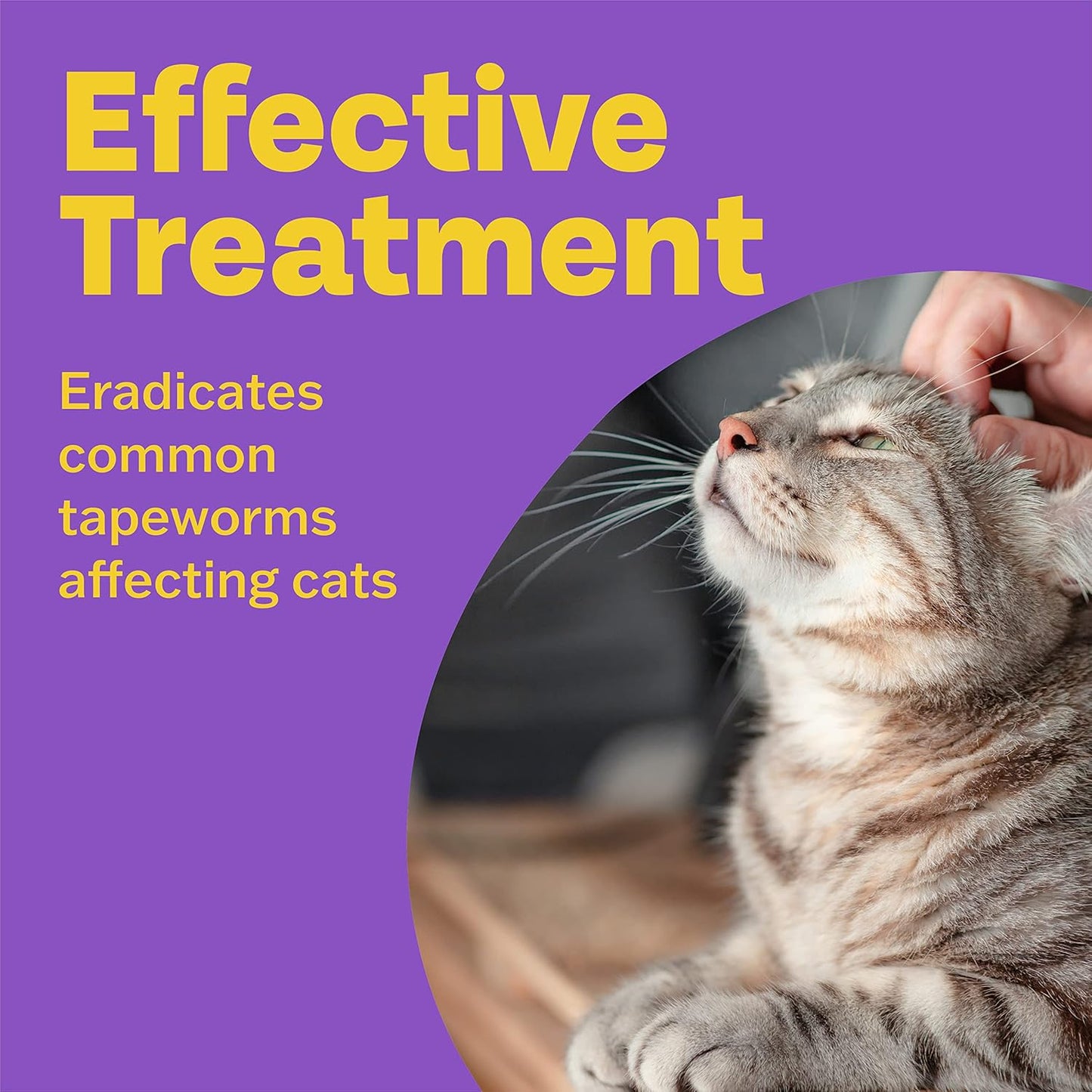 Bob Martin Clear Spot On Wormer for Cats & Kittens - 100% Effective Tapeworm Treatment (4 Pipettes)