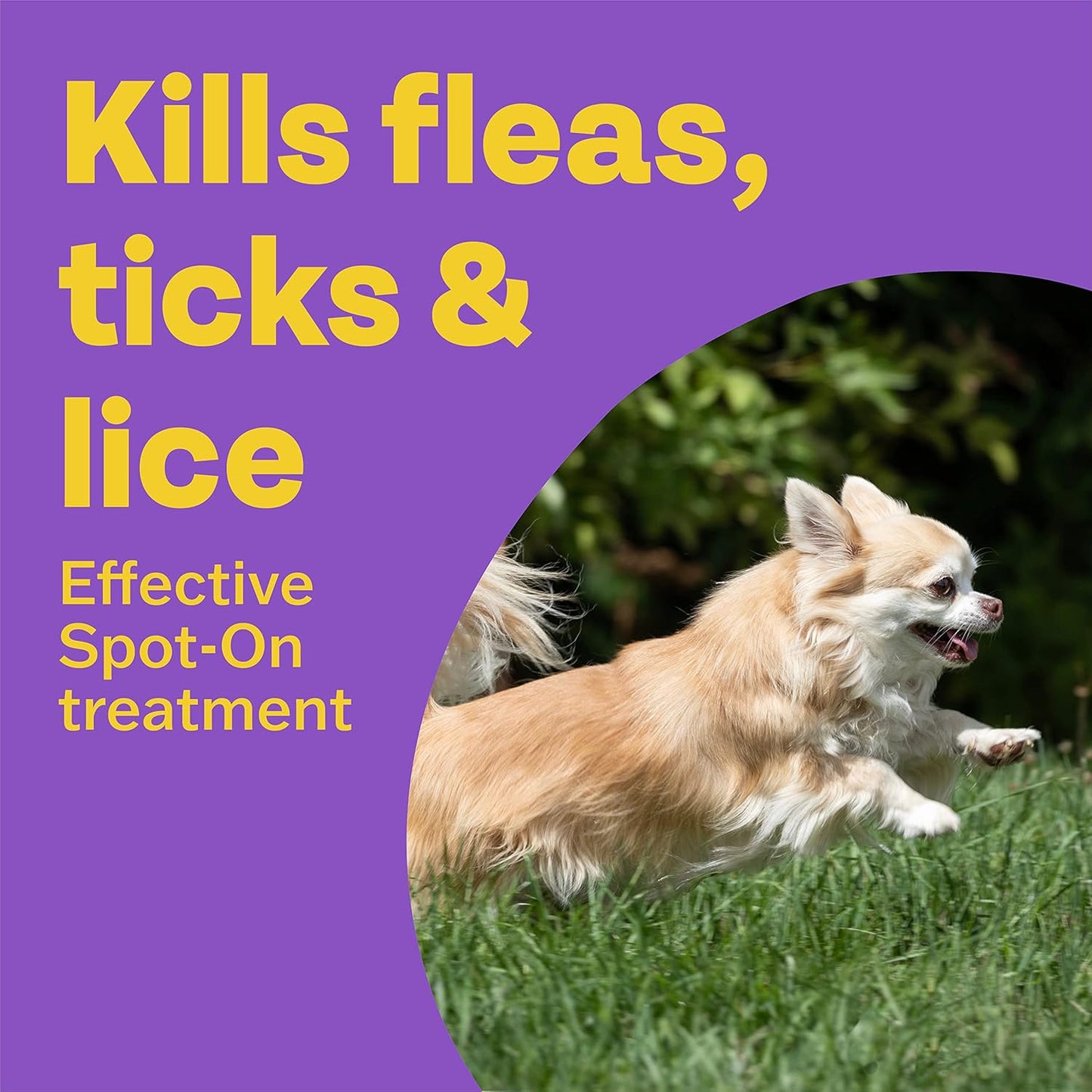 Bob Martin Clear Plus Spot On Flea Treatment for Small Dogs (2-10kg) - Kills Fleas, Ticks, Lice and Flea Eggs (3 Pipettes)
