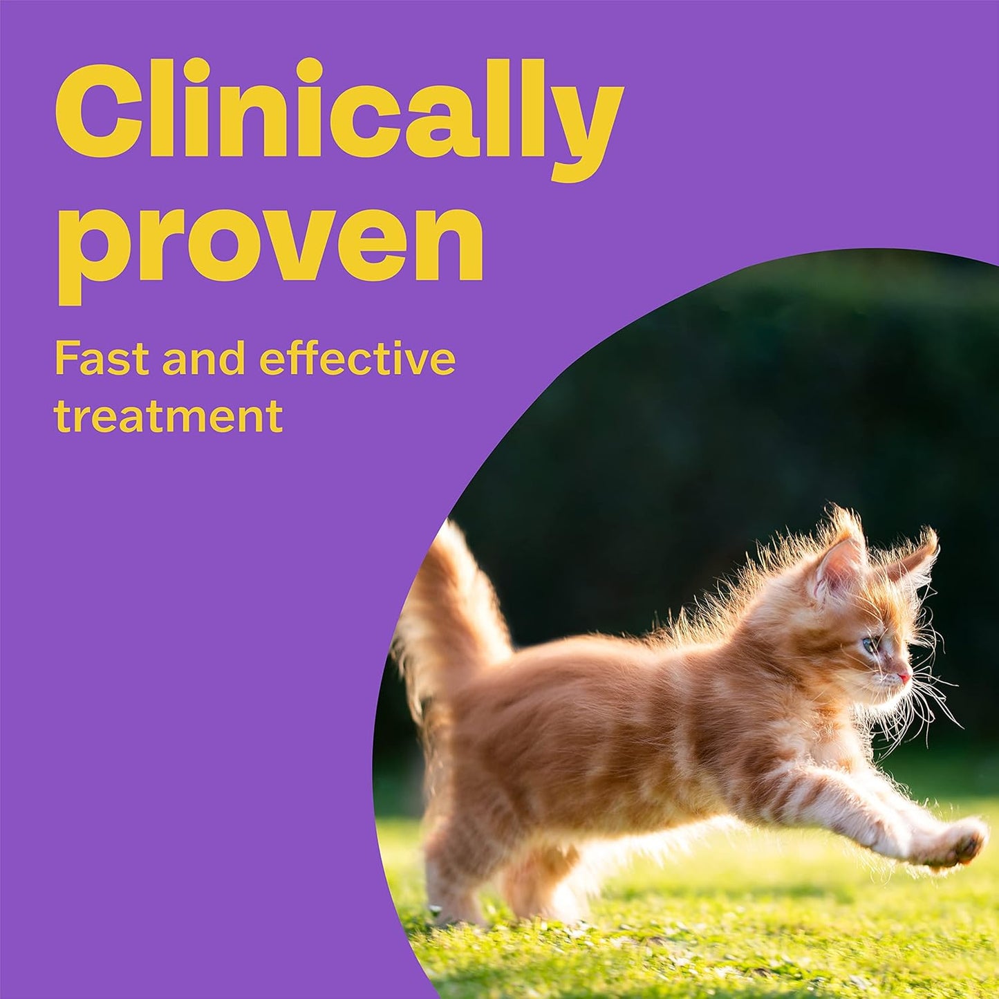 Bob Martin Clear Wormer Treatment for Cats (2 Tablets) - Suitable for Kittens, Clinically Proven Treatment