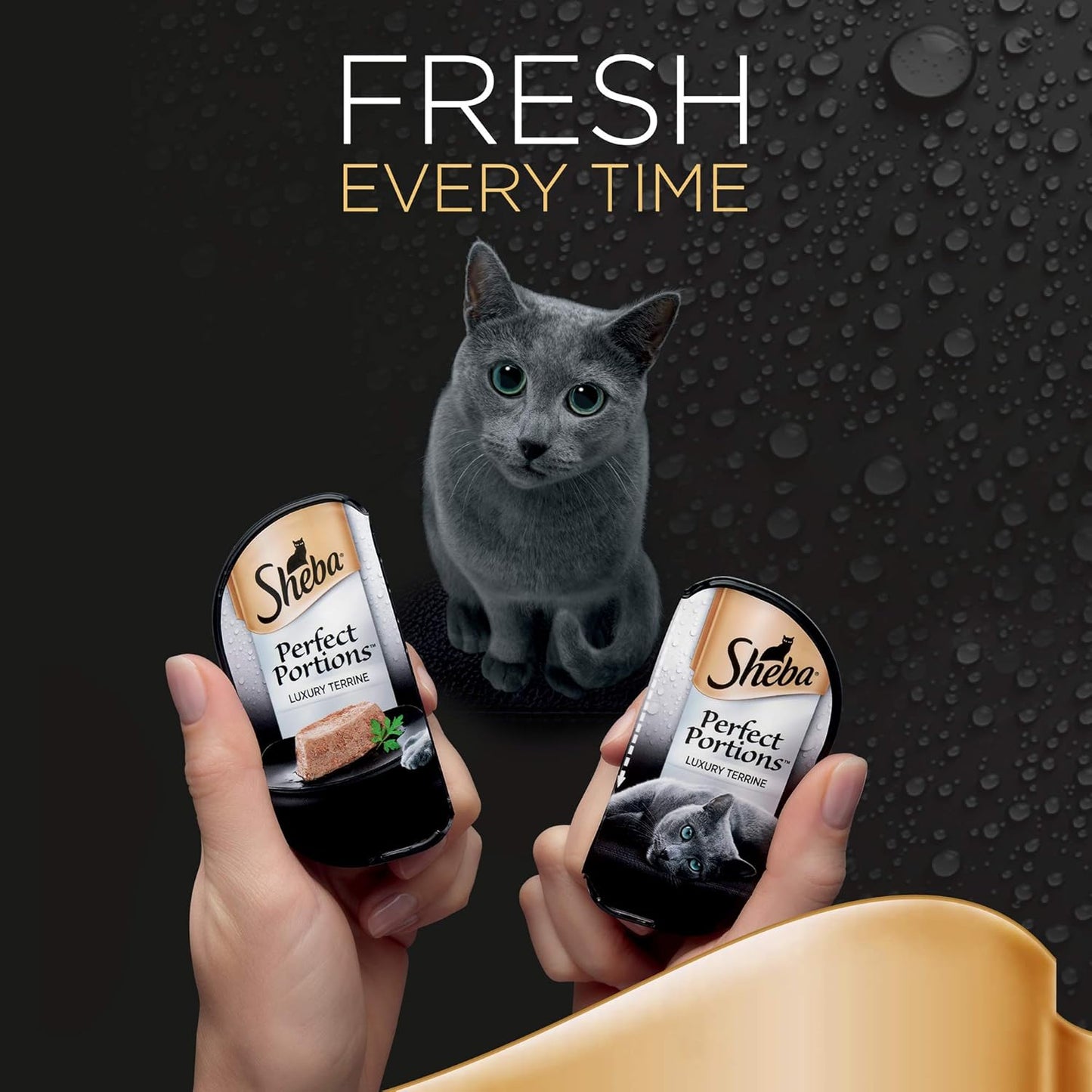 Sheba Perfect Portions Salmon in Loaf, Adult wet cat food in Mini Trays, 24 x (2 x 37.5 g)
