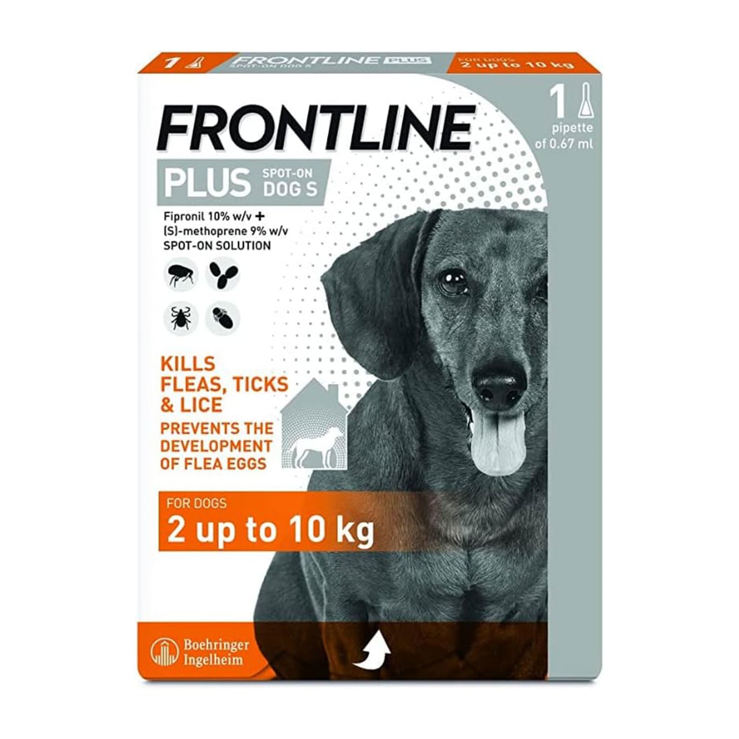 Frontline For Dogs (Plus For Small Dog)