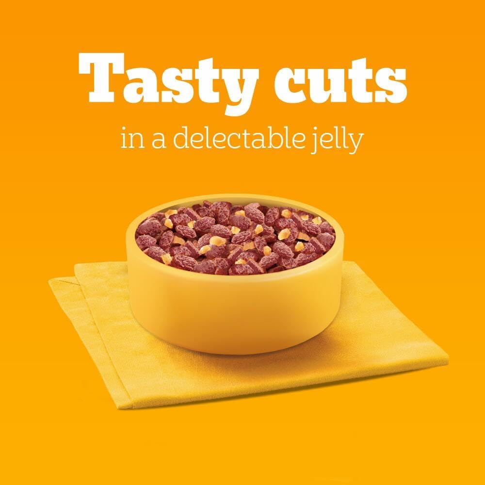 Pedigree Mixed Selection in Jelly 40 Pouches, Adult Wet Dog Food, Megapack (40 x 100 g)