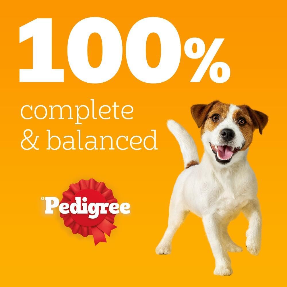 Pedigree Mixed Selection in Jelly 40 Pouches, Adult Wet Dog Food, Megapack (40 x 100 g)