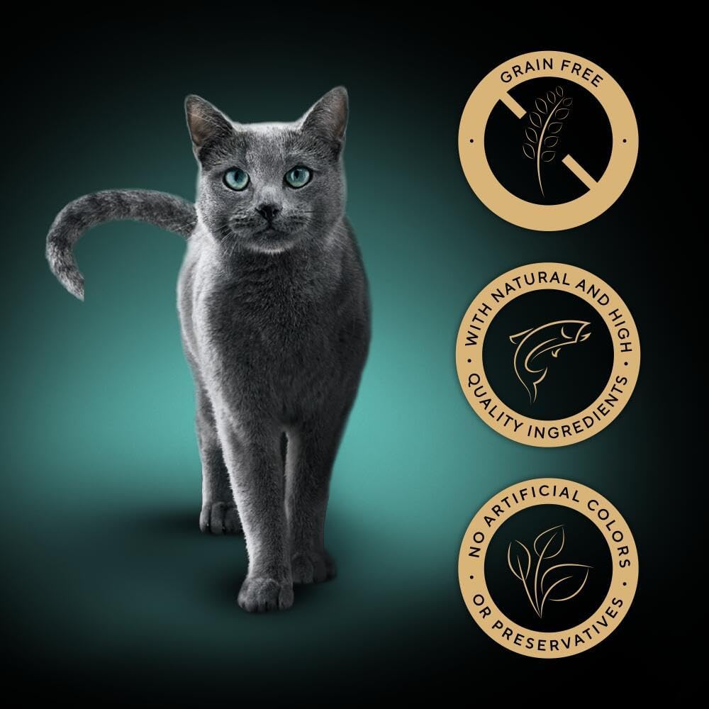 SHEBA Natures Collection Cat Pouches Fish Collection in Gravy 12x85g (pack of 4)
