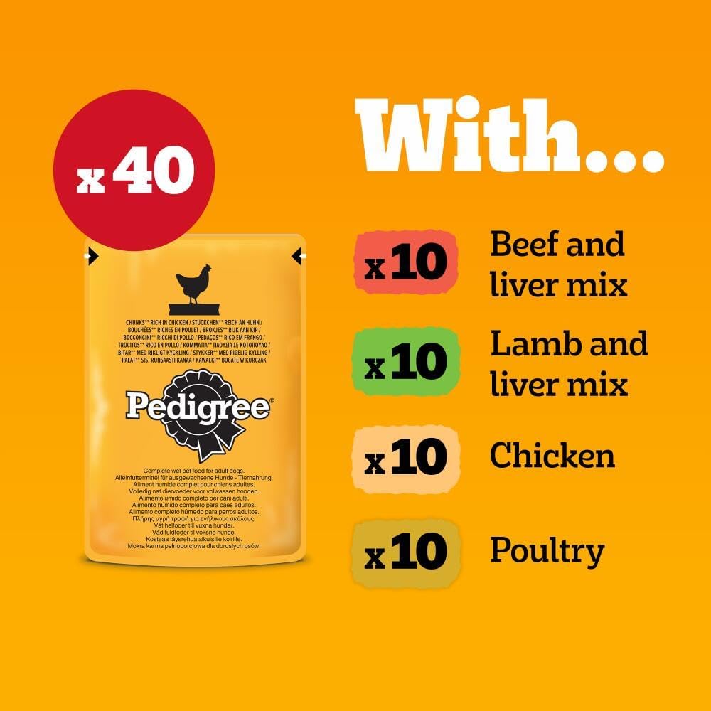 Pedigree Mixed Selection in Jelly 40 Pouches, Adult Wet Dog Food, Megapack (40 x 100 g)