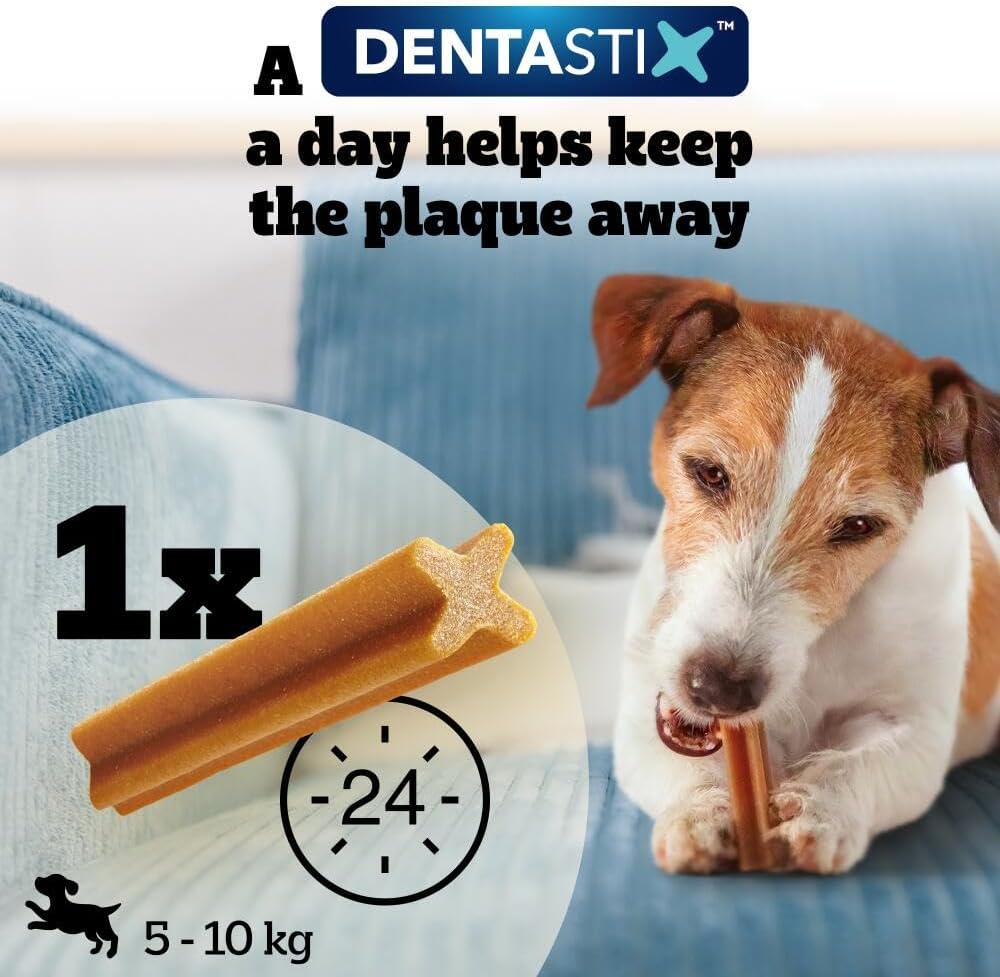 Pedigree Dentastix - Daily Dental Care Chews, Small Dog Treats from 5-10 kg, 10 Bags (10 x 110 g/Total of 70 Sticks)
