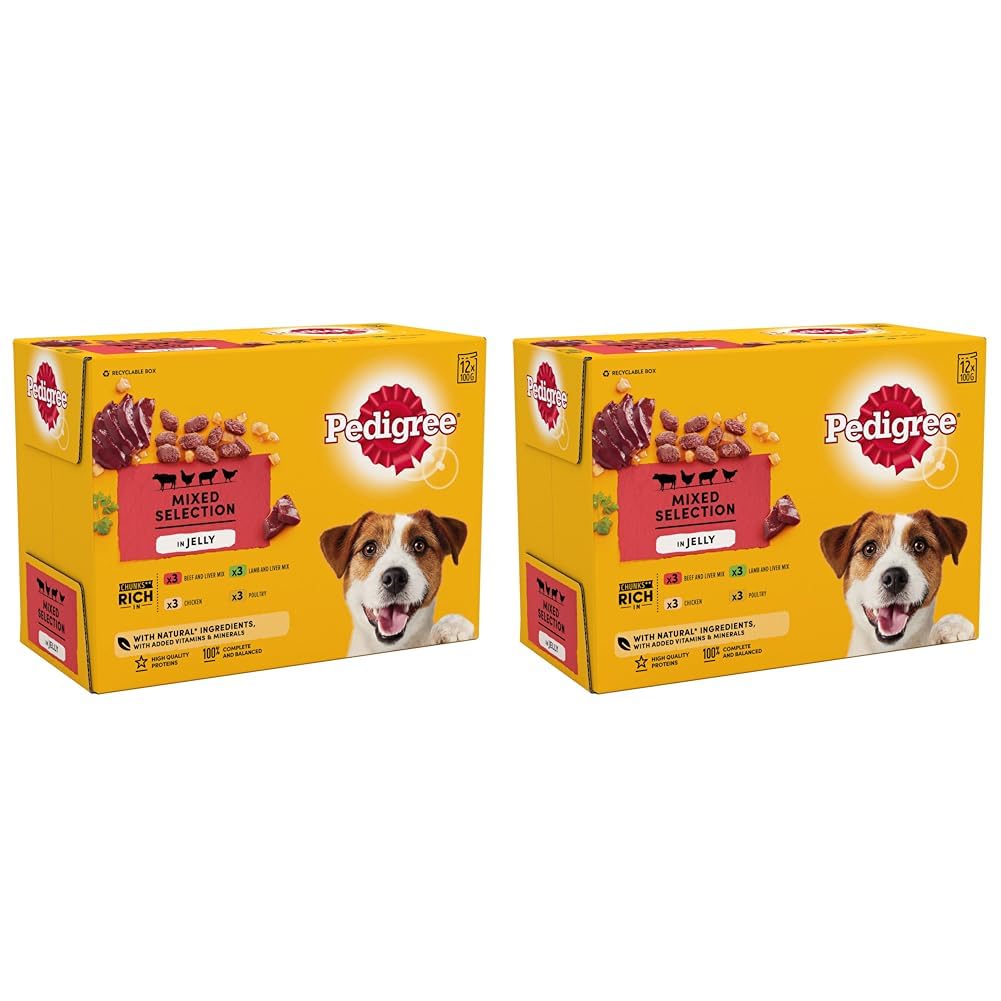 Pedigree Mixed Selection in Jelly 40 Pouches, Adult Wet Dog Food, Megapack (40 x 100 g)