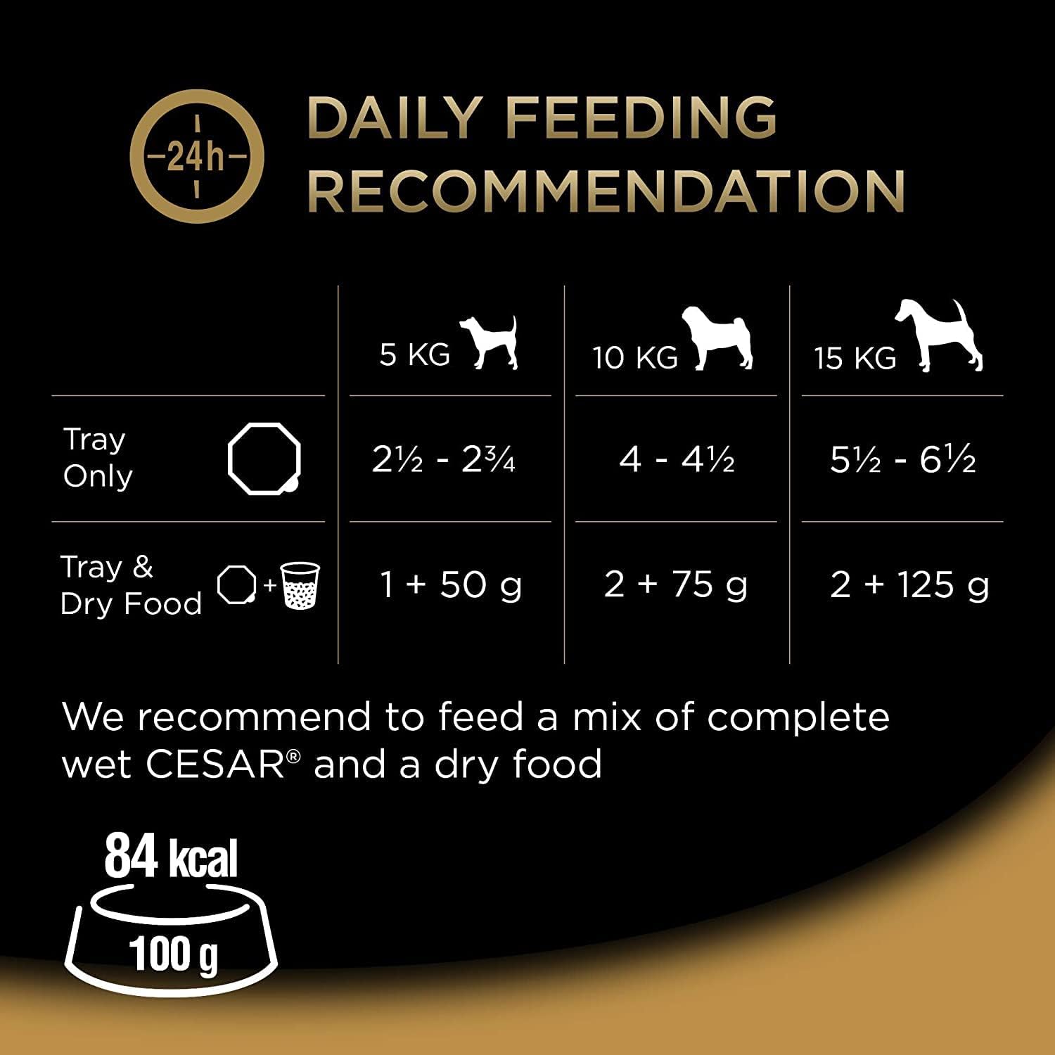 Cesar Country Stew Adult Wet Dog Food, Special Selection, Pack of 3 (3 x 8 Trays x 150 g)