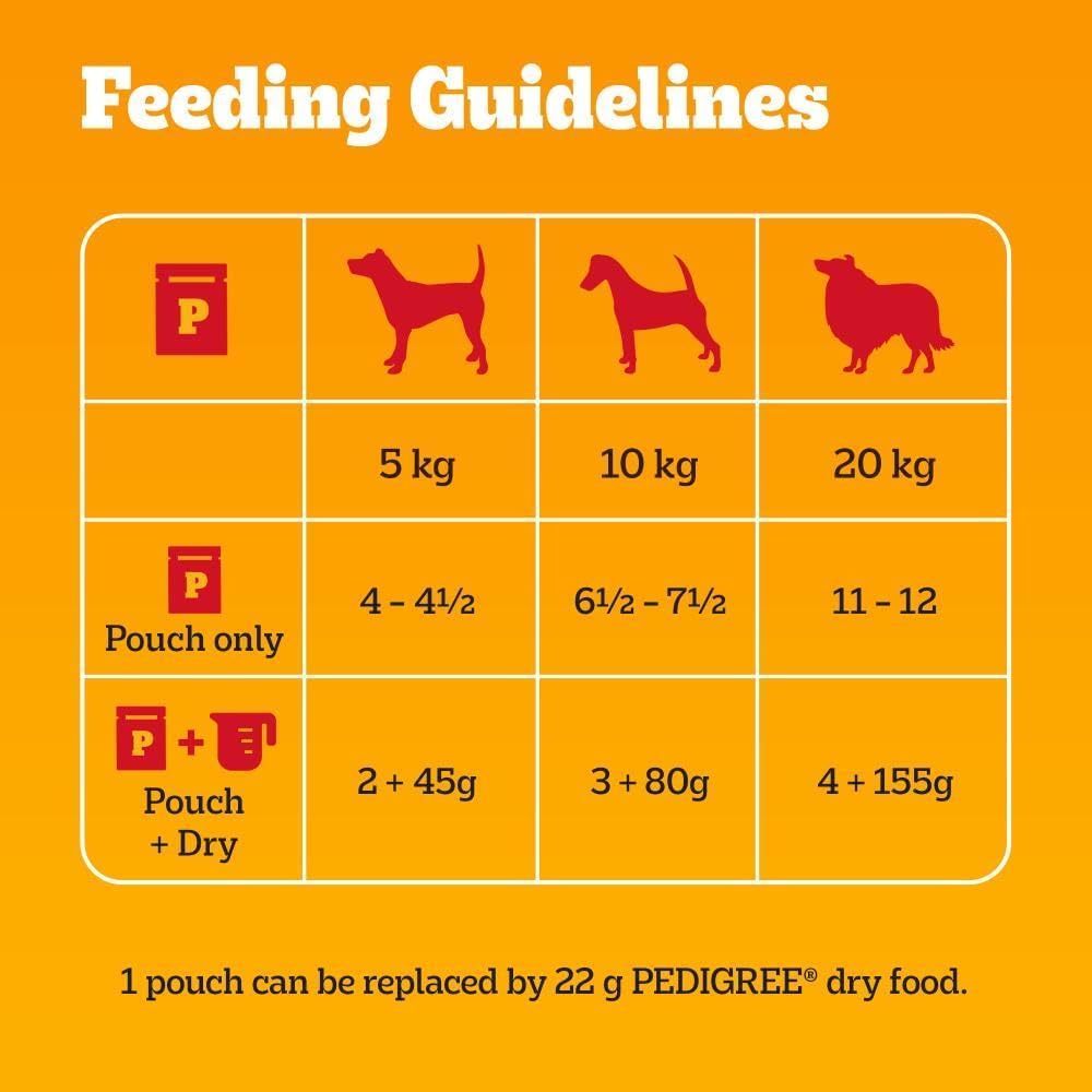 Pedigree Mixed Selection in Jelly 40 Pouches, Adult Wet Dog Food, Megapack (40 x 100 g)