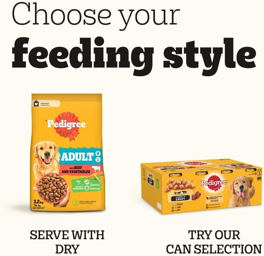 Pedigree Mixed Selection in Jelly 40 Pouches, Adult Wet Dog Food, Megapack (40 x 100 g)