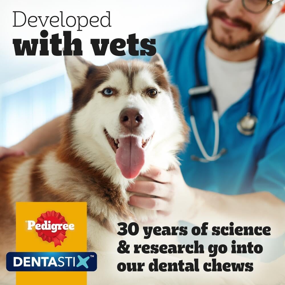 Pedigree Dentastix - Daily Dental Care Chews, Small Dog Treats from 5-10 kg, 10 Bags (10 x 110 g/Total of 70 Sticks)