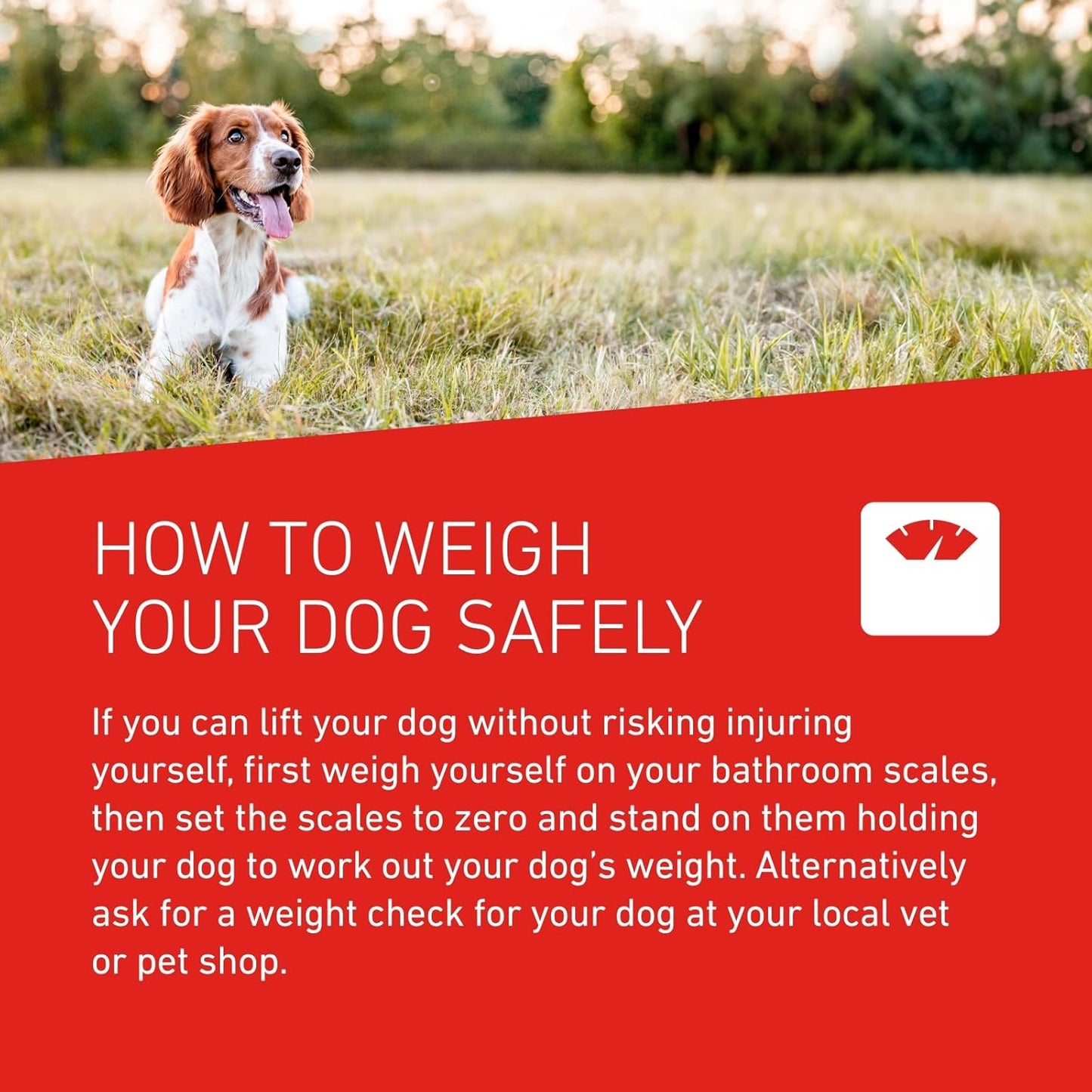 FRONTLINE WORMER - XL Worming Tablets for Dogs - 2 Tablets
