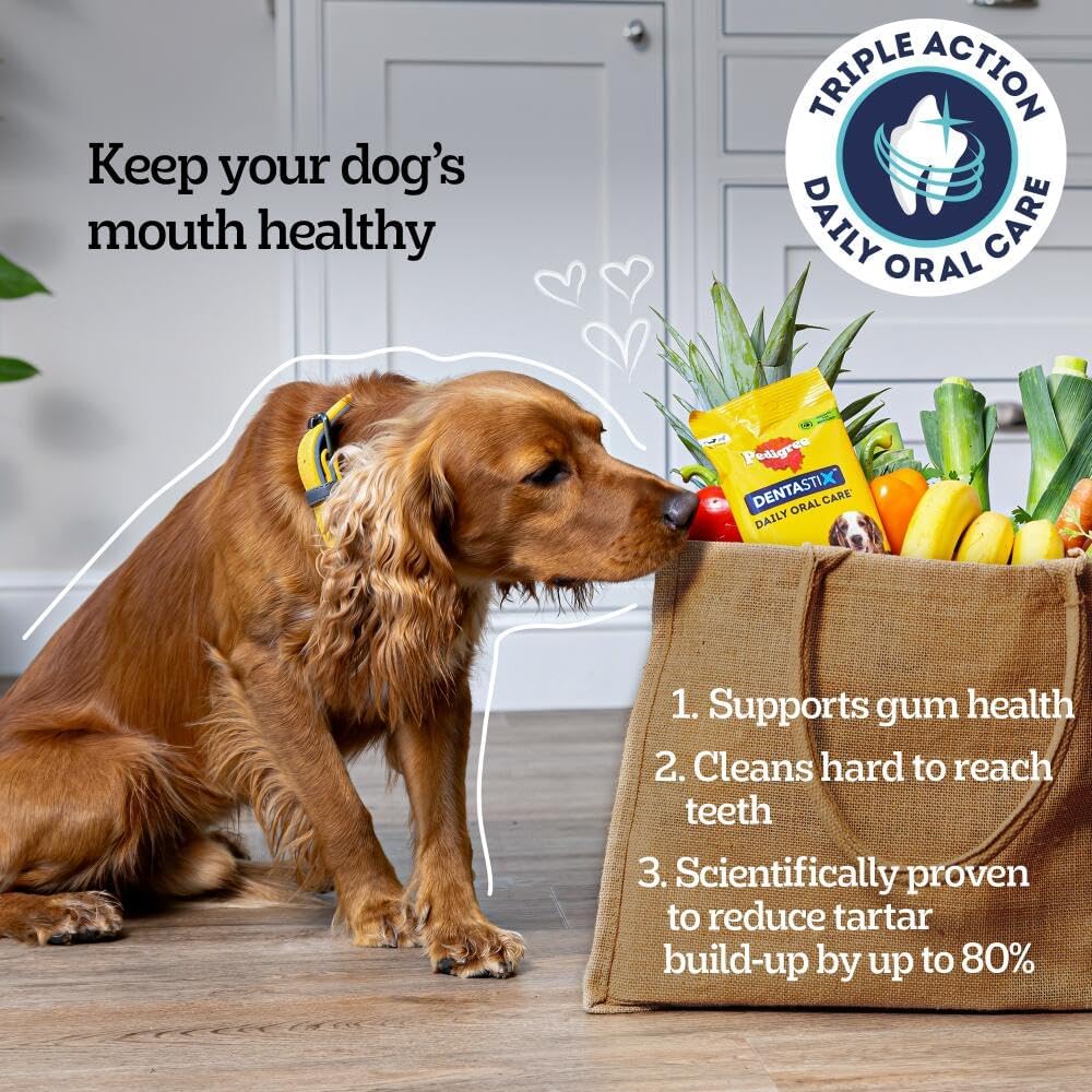 Pedigree Dentastix - Daily Dental Care Chews, Small Dog Treats from 5-10 kg, 10 Bags (10 x 110 g/Total of 70 Sticks)
