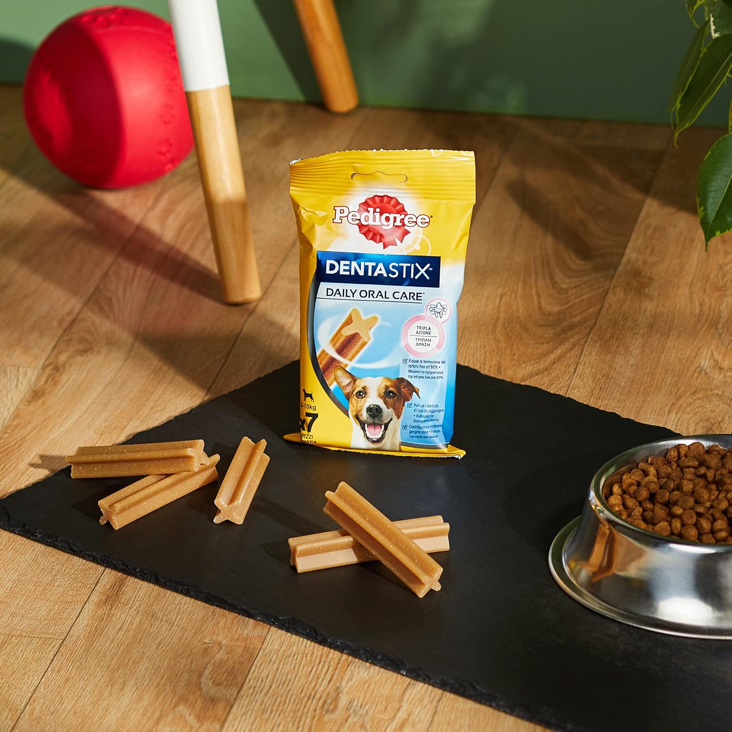 Pedigree Dentastix - Daily Dental Care Chews, Small Dog Treats from 5-10 kg, 10 Bags (10 x 110 g/Total of 70 Sticks)