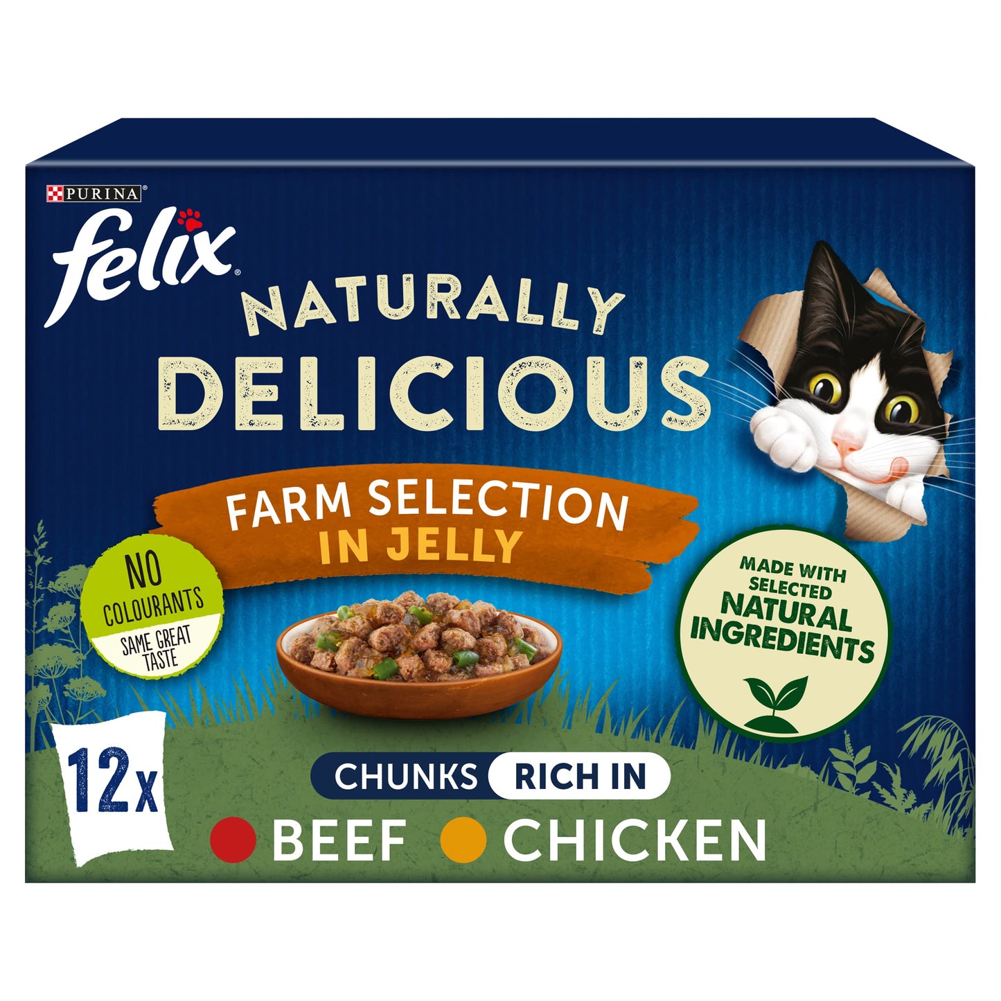 Felix Mixed Selection in Jelly Cat Food 120x100g