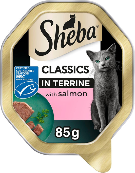 Sheba Classics Cat Food Tray with Salmon in Terrine 2x11x85g